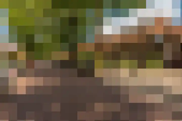 Kometenstraat 18 Hilversum thumbnail 43
