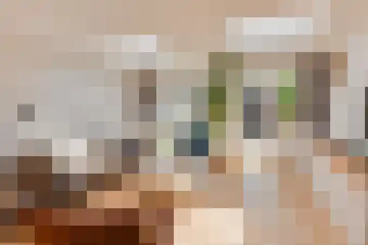 Kometenstraat 18 Hilversum thumbnail 6