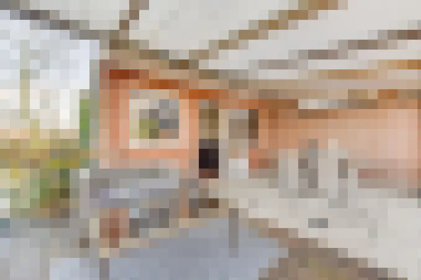 Kometenstraat 25 Hoorn thumbnail 35
