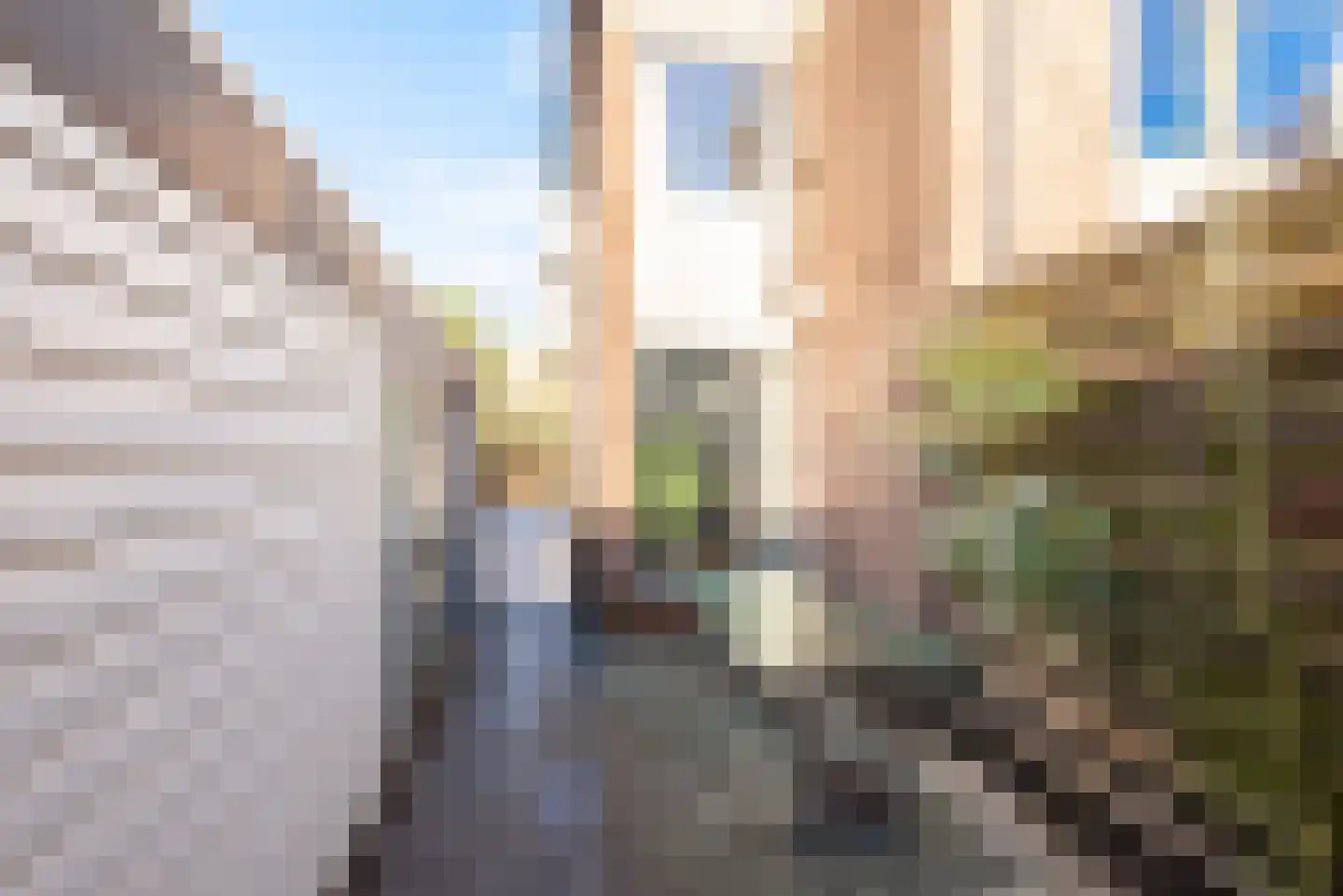 Kometenstraat 25 Hoorn thumbnail 38