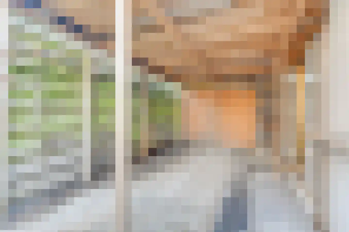 Kometenstraat 25 Hoorn thumbnail 44