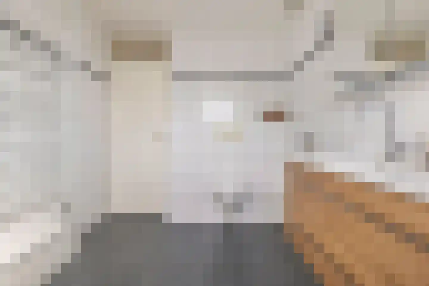 Kometenstraat 27 Groningen thumbnail 27