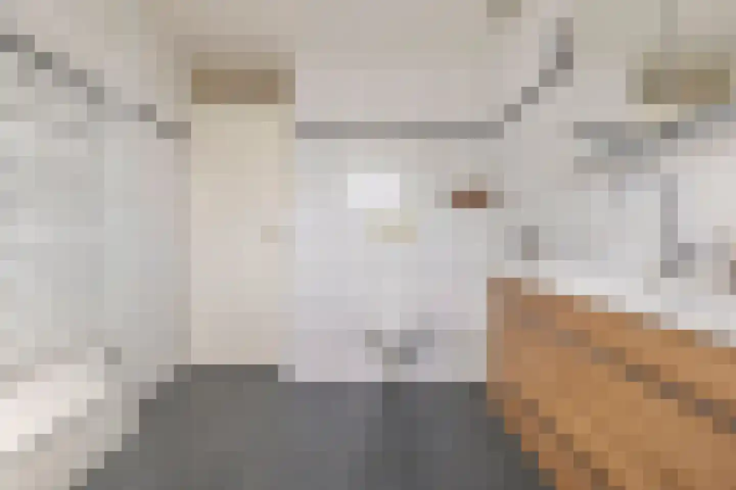 Kometenstraat 27 Groningen thumbnail 31