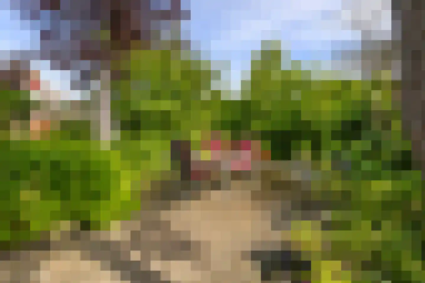 Kometenstraat 27 Groningen thumbnail 36