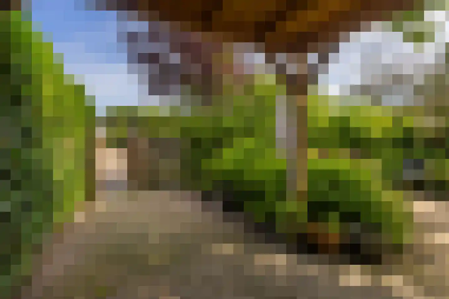 Kometenstraat 27 Groningen thumbnail 37