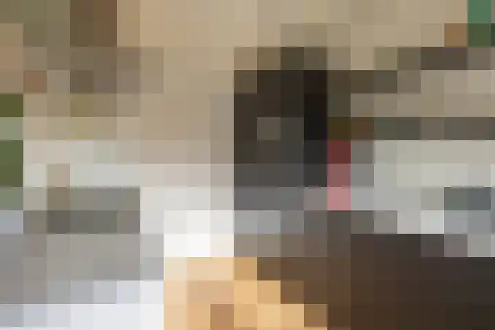 Kometenstraat 32 Groningen thumbnail 20