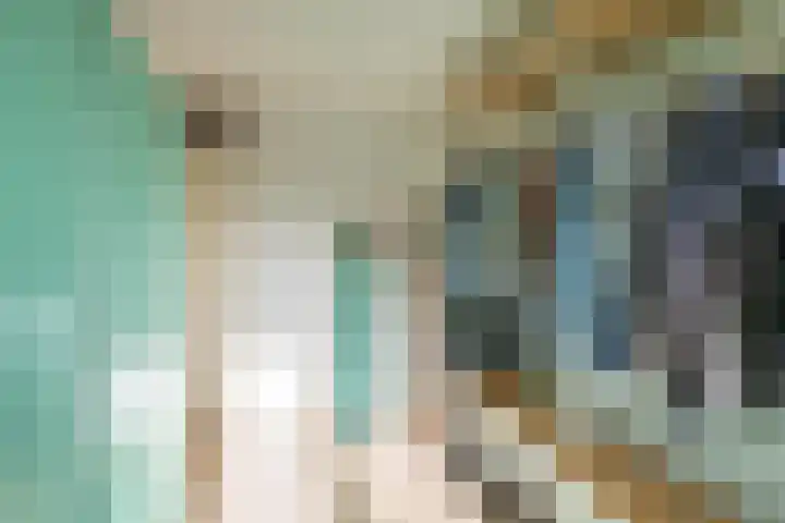 Kometenstraat 32 Groningen thumbnail 31