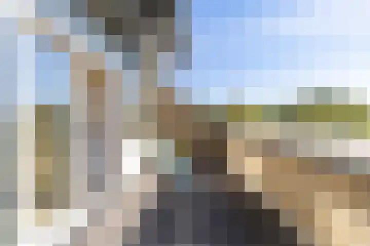Kometenstraat 32 Groningen thumbnail 44