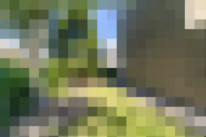 Kometenstraat 32 Groningen thumbnail 48