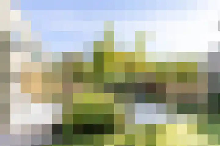 Kometenstraat 32 Groningen thumbnail 49