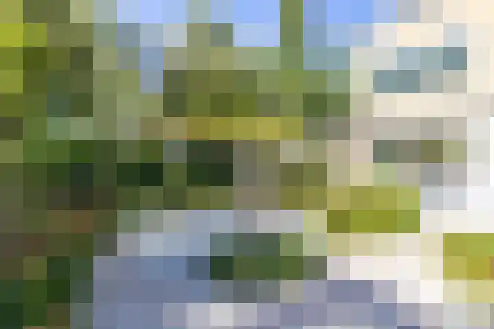 Kometenstraat 32 Groningen thumbnail 50
