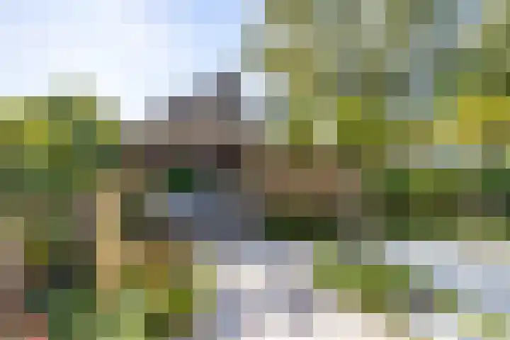 Kometenstraat 32 Groningen thumbnail 55