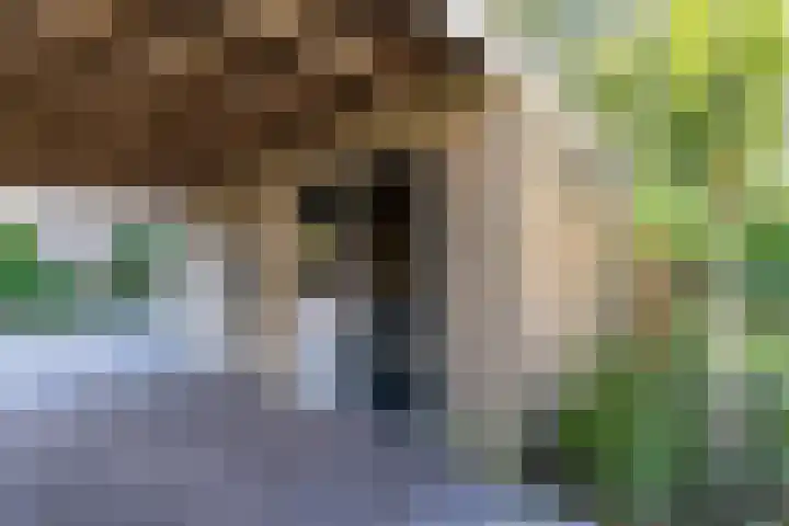 Kometenstraat 32 Groningen thumbnail 58