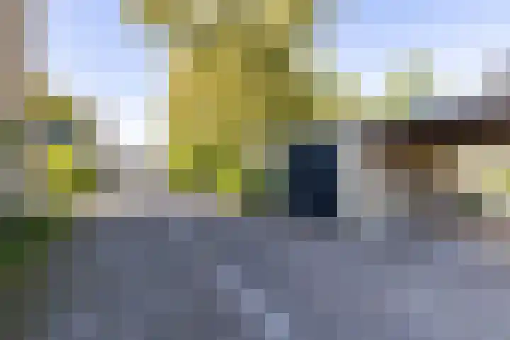 Kometenstraat 32 Groningen thumbnail 59