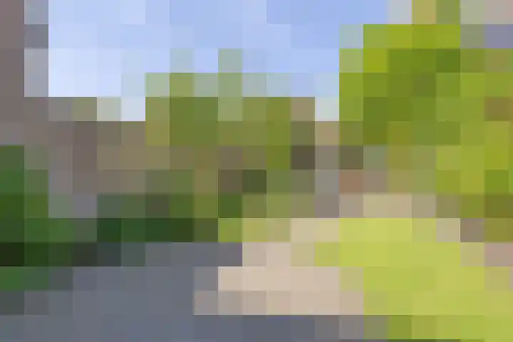 Kometenstraat 35 Hilversum thumbnail 28