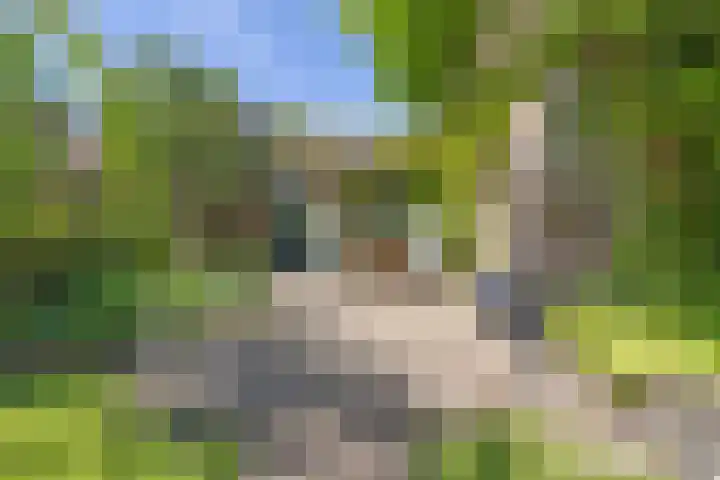 Kometenstraat 35 Hilversum thumbnail 30