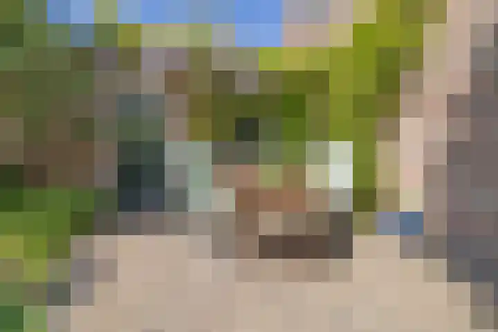Kometenstraat 35 Hilversum thumbnail 31