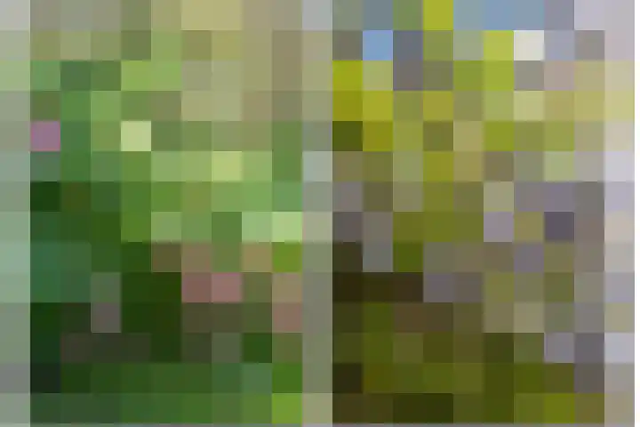 Kometenstraat 35 Hilversum thumbnail 32