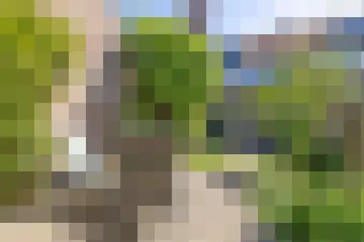 Kometenstraat 35 Hilversum thumbnail 33