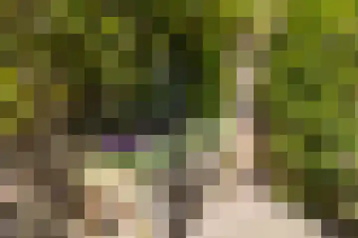 Kometenstraat 35 Hilversum thumbnail 34