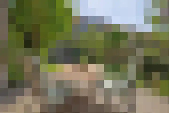 Kometenstraat 35 Hilversum thumbnail 35