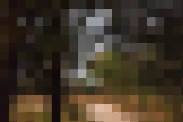 Kometenstraat 35 Hilversum thumbnail 39