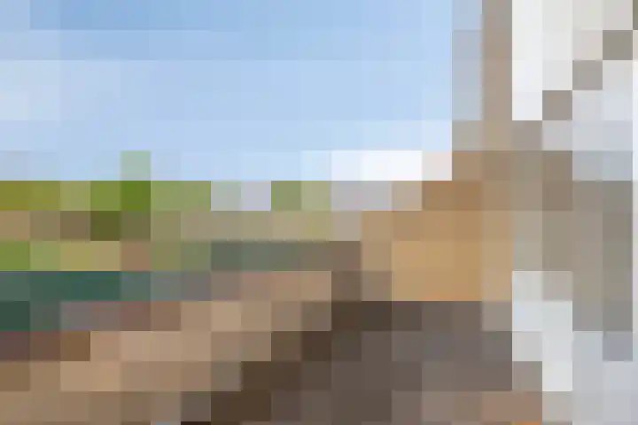 Kometenstraat 38 Groningen thumbnail 19