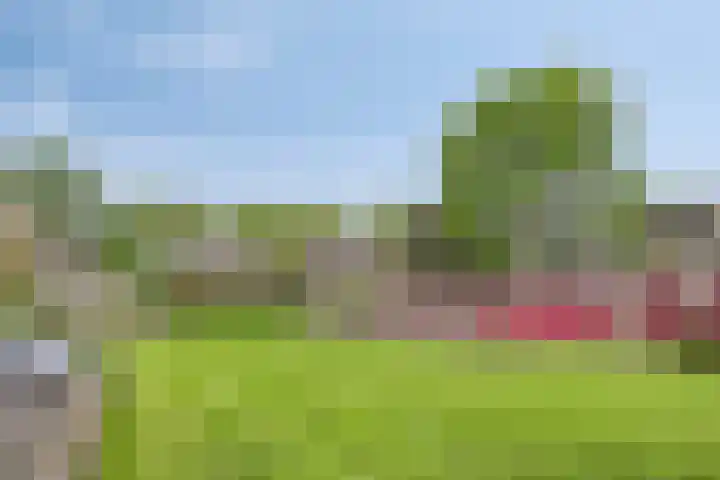 Kometenstraat 38 Groningen thumbnail 23