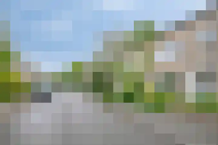 Kometenstraat 38 Groningen thumbnail 5
