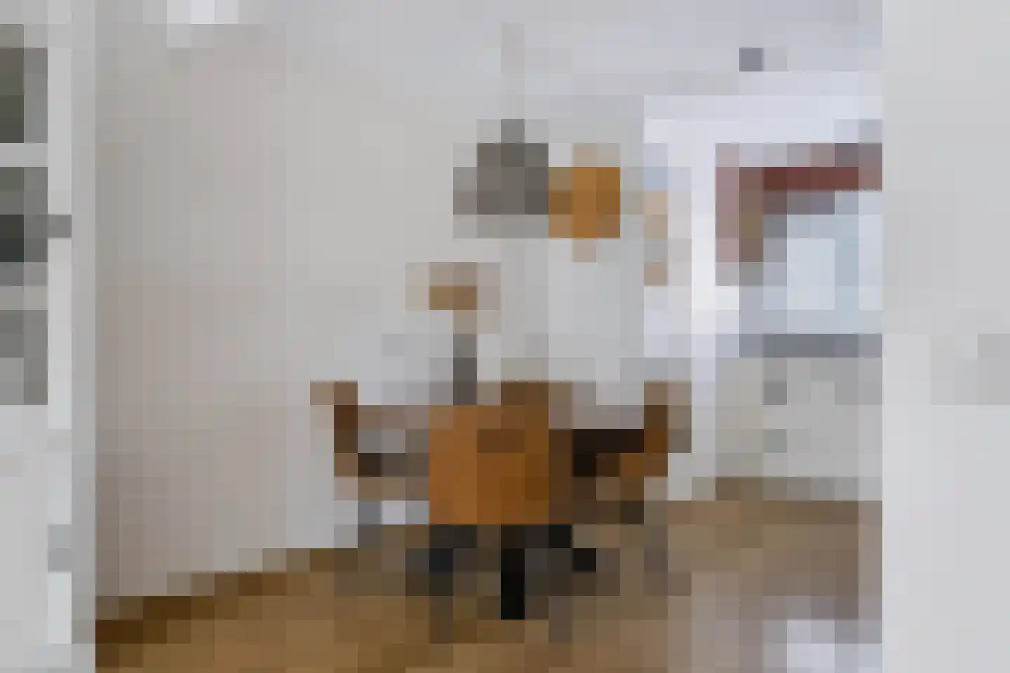 Kometenstraat 4 Apeldoorn thumbnail 7