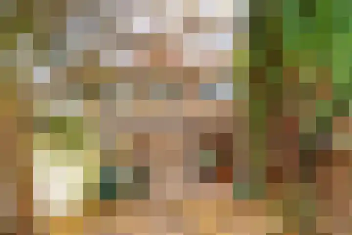 Kometenstraat 4 Hilversum thumbnail 26