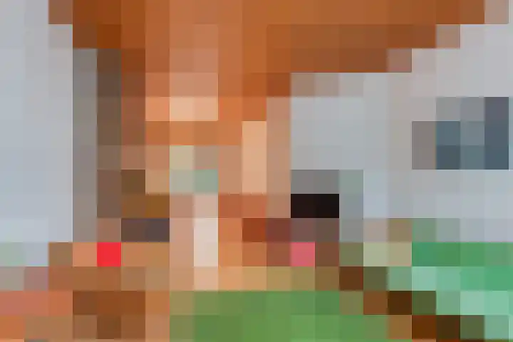 Kometenstraat 4 Hilversum thumbnail 5