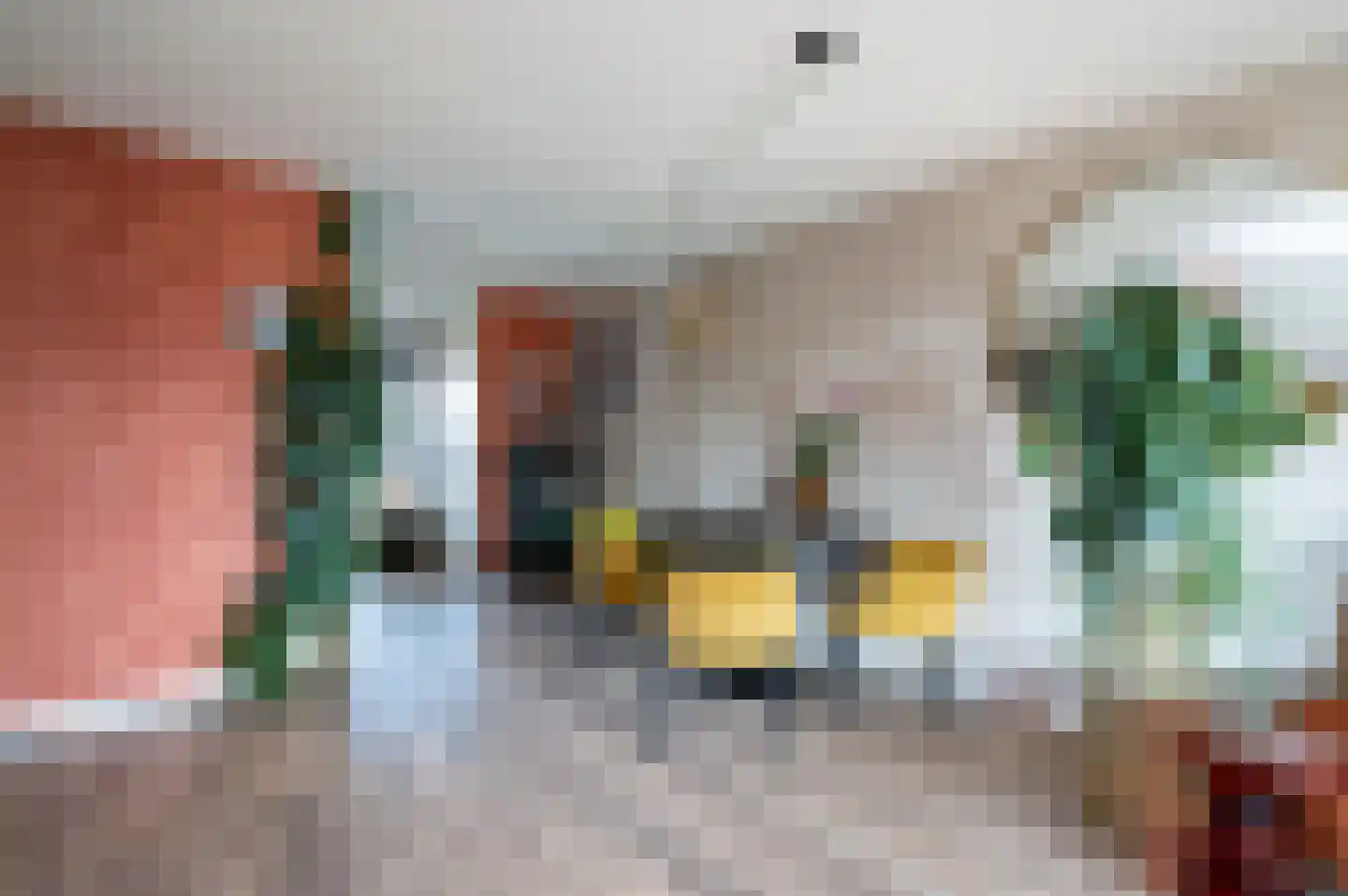 Kometenstraat 40 Apeldoorn thumbnail 11
