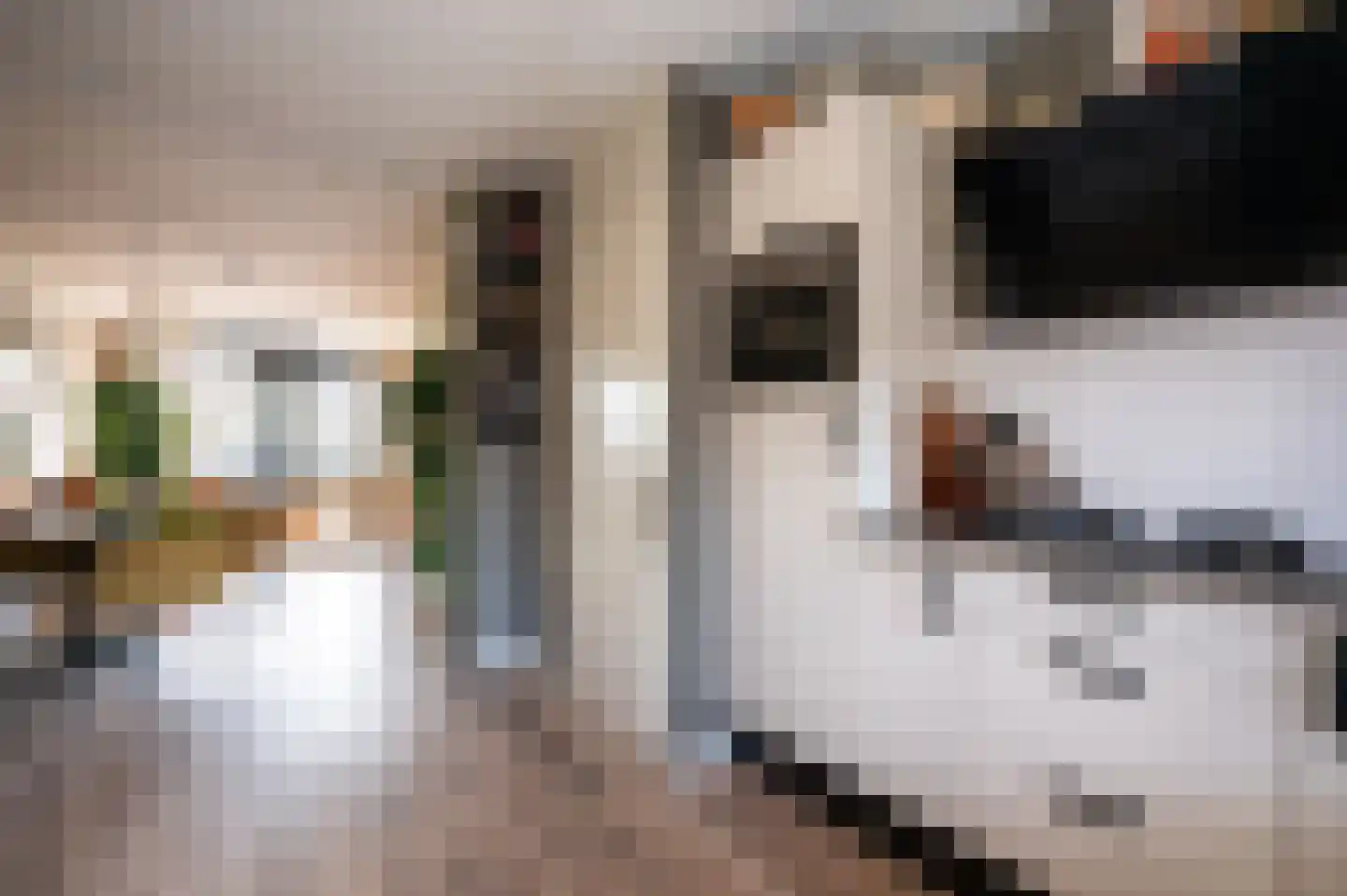 Kometenstraat 40 Apeldoorn thumbnail 9