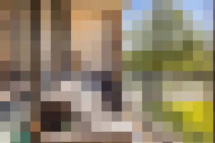 Kometenstraat 40 Purmerend thumbnail 6