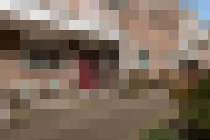 Kometenstraat 46 Apeldoorn thumbnail 26