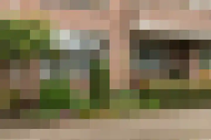 Kometenstraat 46 Apeldoorn thumbnail 30