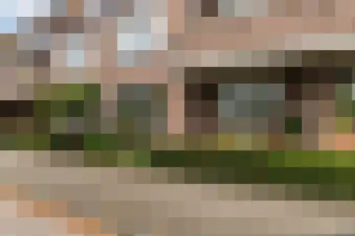 Kometenstraat 46 Apeldoorn thumbnail 31