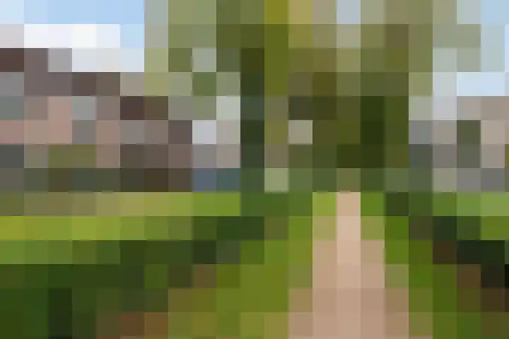 Kometenstraat 46 Apeldoorn thumbnail 34