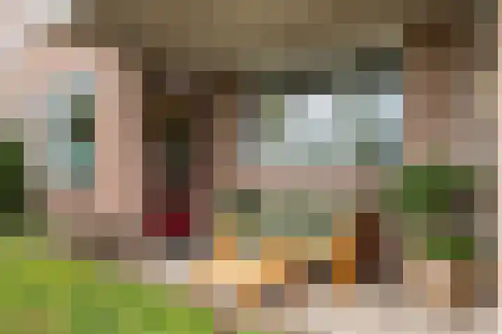 Kometenstraat 46 Apeldoorn thumbnail 5