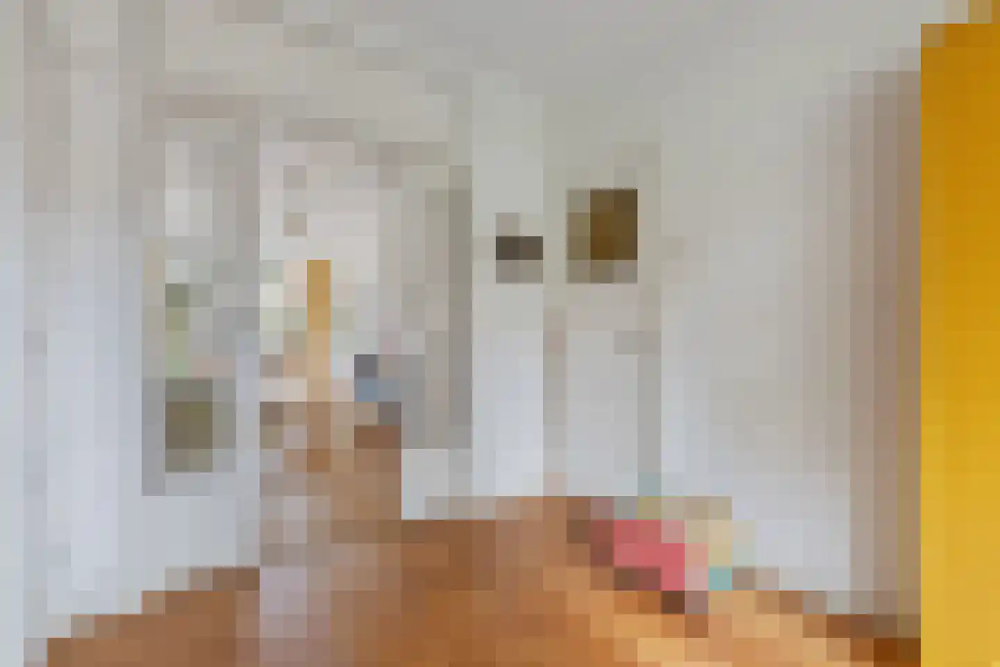 Kometenstraat 60 Hilversum thumbnail 11