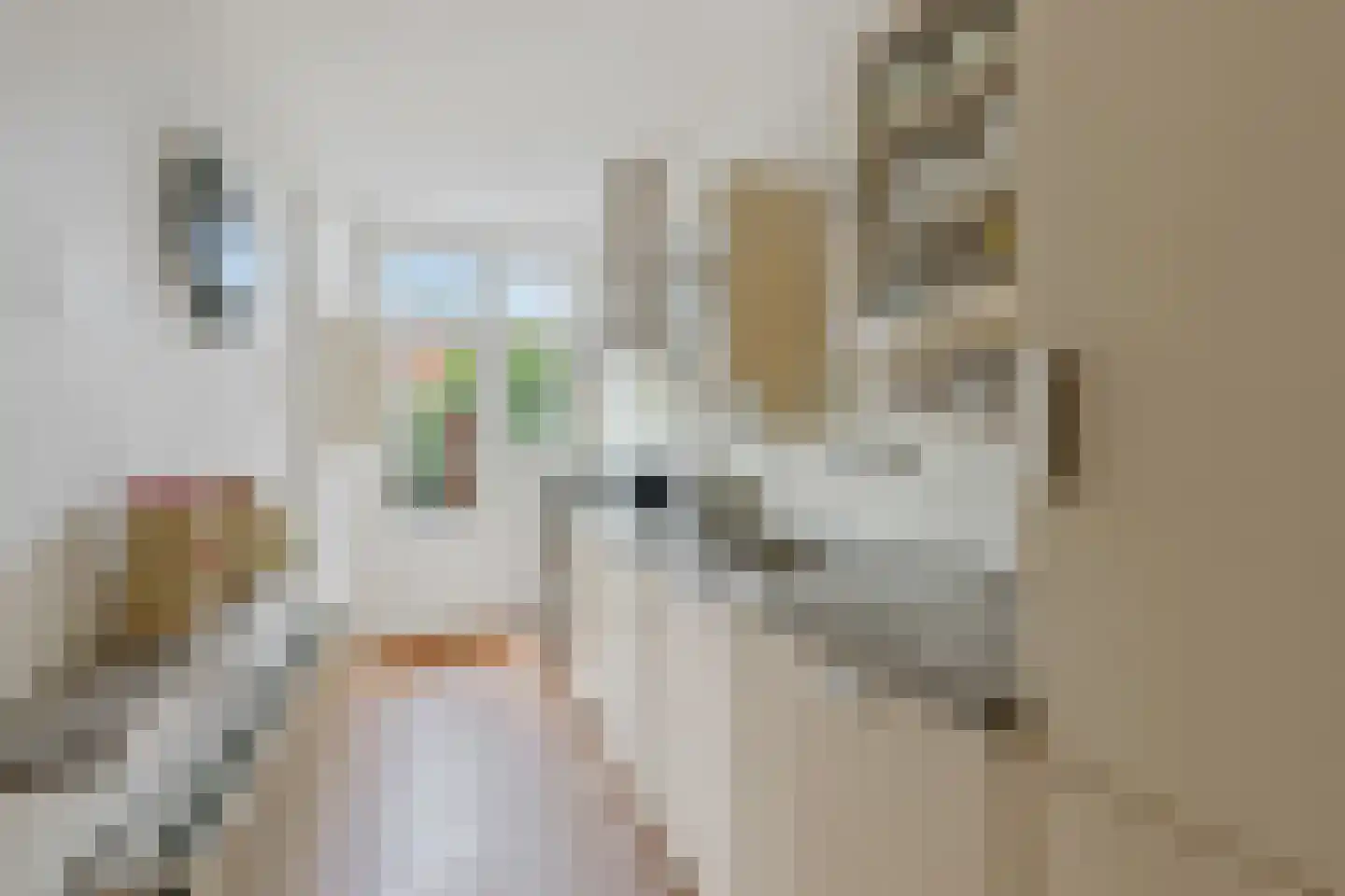 Kometenstraat 60 Hilversum thumbnail 13
