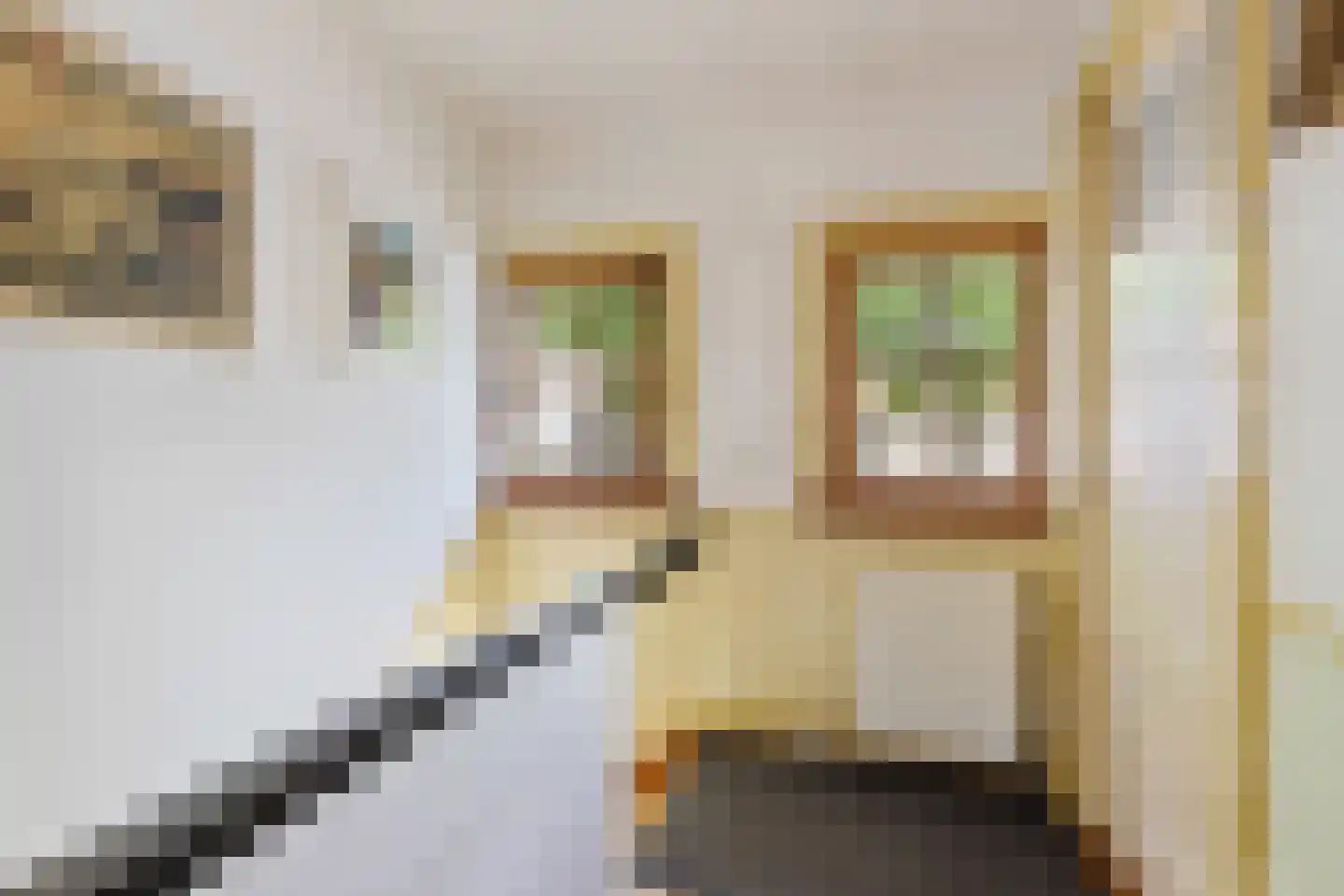 Kometenstraat 60 Hilversum thumbnail 18