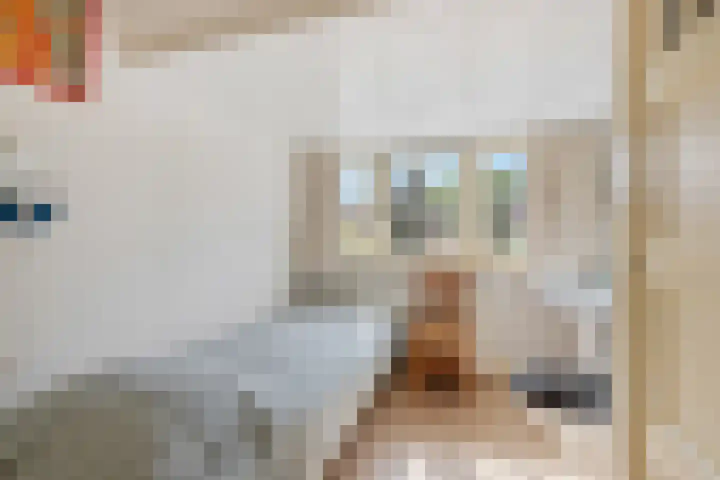 Kometenstraat 60 Hilversum thumbnail 24