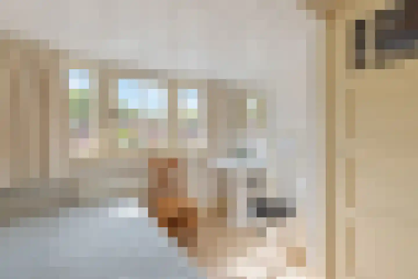 Kometenstraat 60 Hilversum thumbnail 25