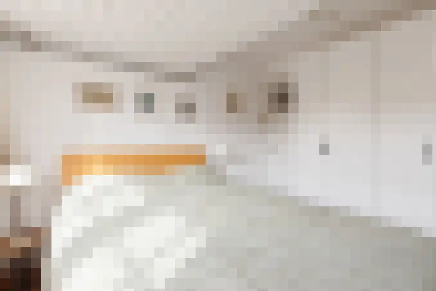 Kometenstraat 60 Hilversum thumbnail 27