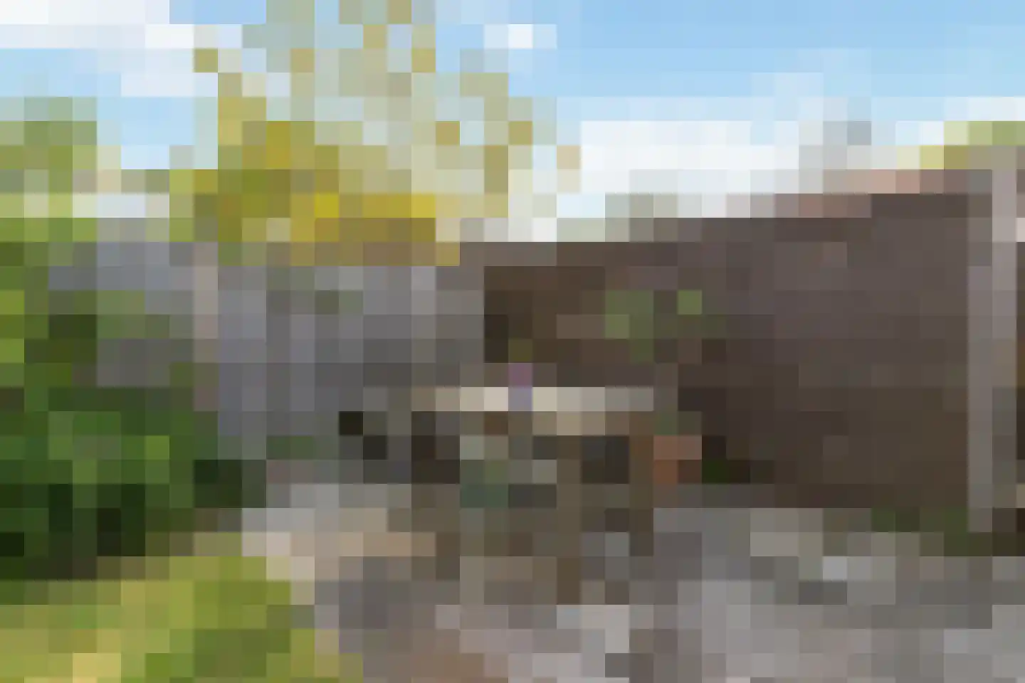 Kometenstraat 60 Hilversum thumbnail 39