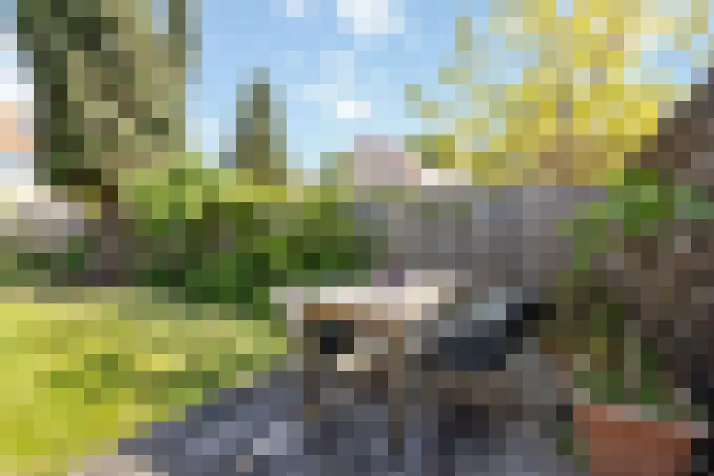 Kometenstraat 60 Hilversum thumbnail 40