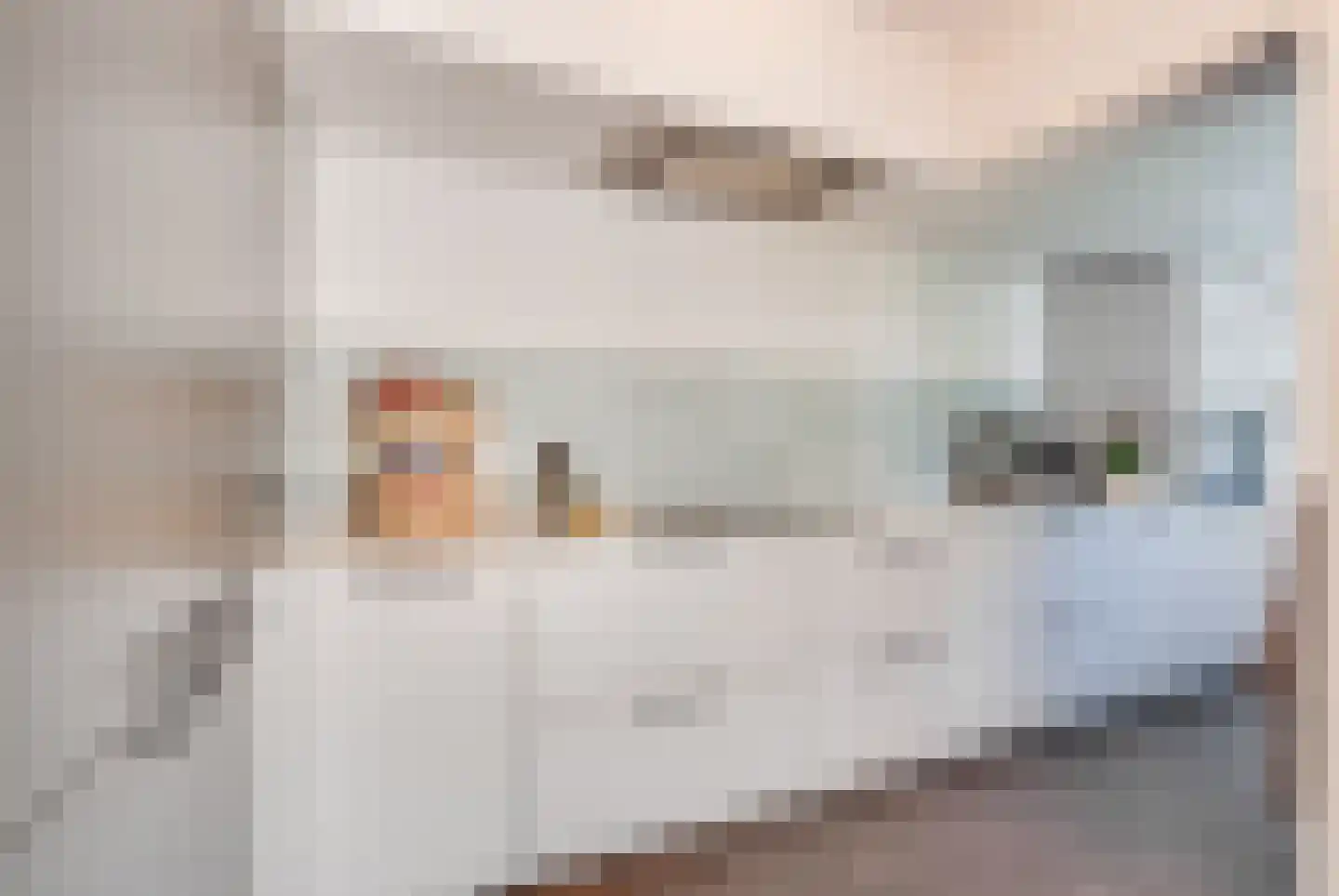 Kometenstraat 96 Hilversum thumbnail 8