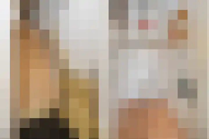 Komijn 1 Dronten thumbnail 10